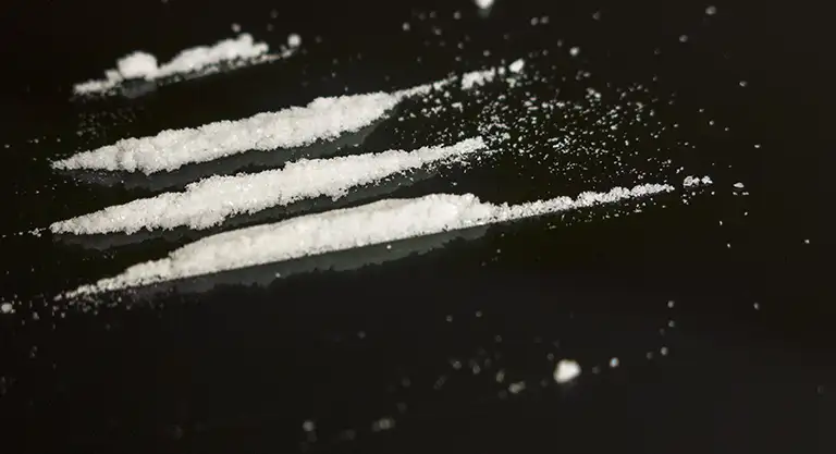 Lines of Coke or Cocaine